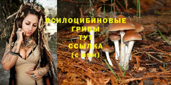 метадон Абинск